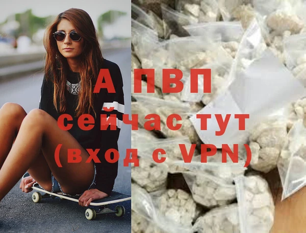спиды Алзамай