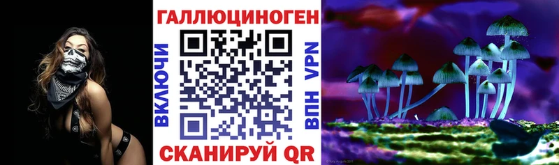 Галлюциногенные грибы прущие грибы  закладка  Осинники 